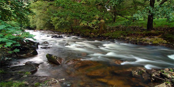 Rapids above the church