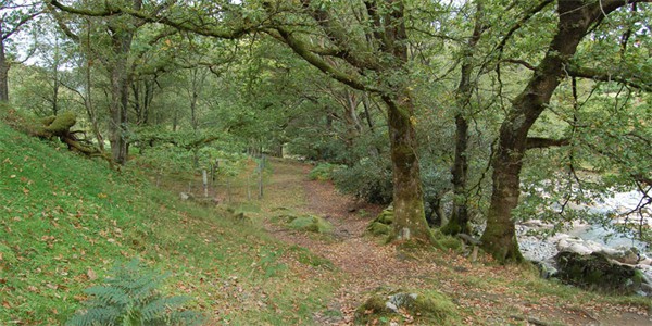 River side path