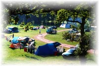 Fisherground Campsite